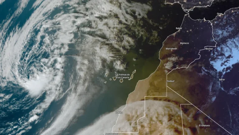 شفشاون.. توقعات بوصول منخفض جوي قوي يُنعش موسم جني الزيتون