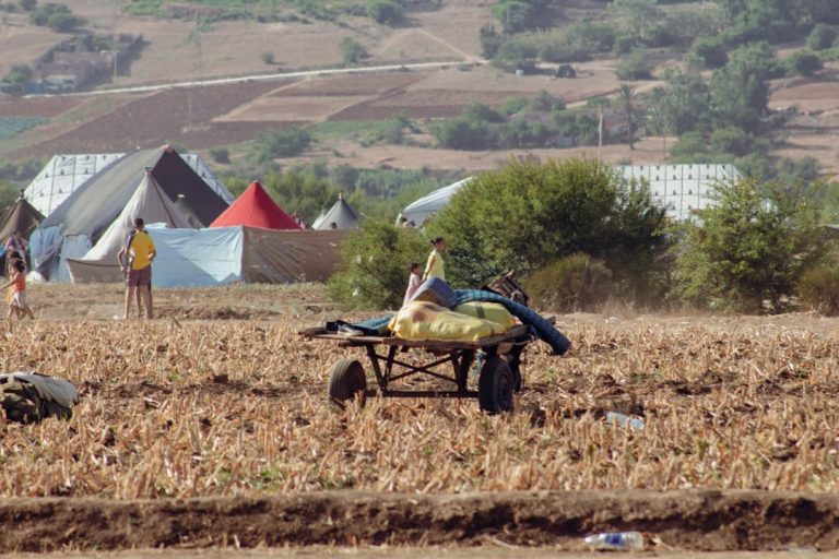 صورة توضيحية للزراعة المغربية مرتبطة بخبر دعم النقل وتكاليف المحروقات